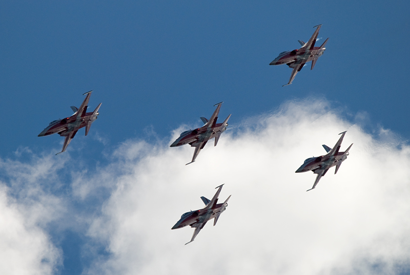 50_Axalp_Patrouille Suisse_F-5E Tiger.jpg